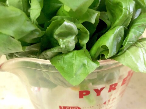 新鮮バジルを長持ちさせる保存方法 お役立ちメモ レシピ 作り方 By M H 楽天レシピ 新鮮バジルを長持ちさせる保存方法 お役立ちメモ レシピ 作り方 By M H 楽天レシピ